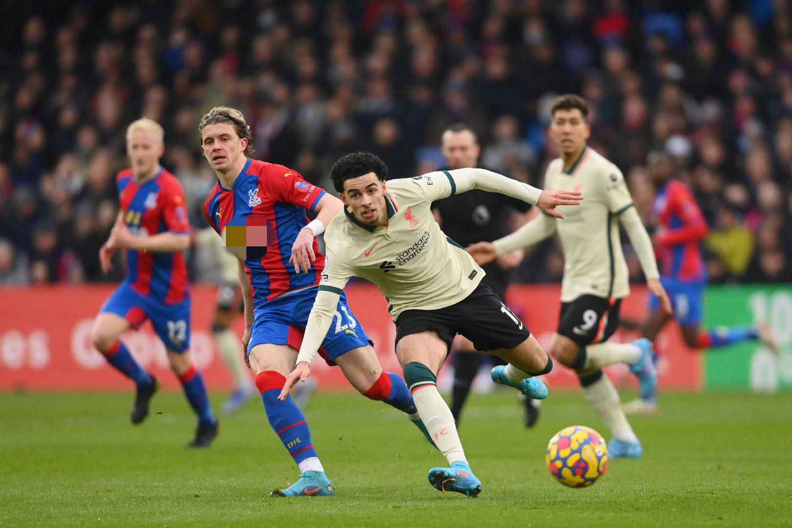 另外两位优 另外两位优